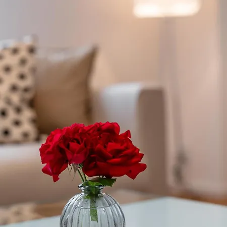 Goethe Palais Zauberlehrling 4p L Lift L Parkplatz I Zentrum I Helios * Aue (Saxony)