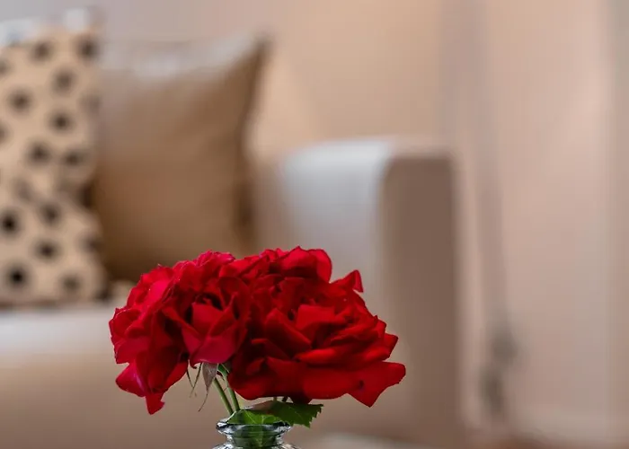 Goethe Palais Zauberlehrling 4p L Lift L Parkplatz I Zentrum I Helios * Aue (Saxony)